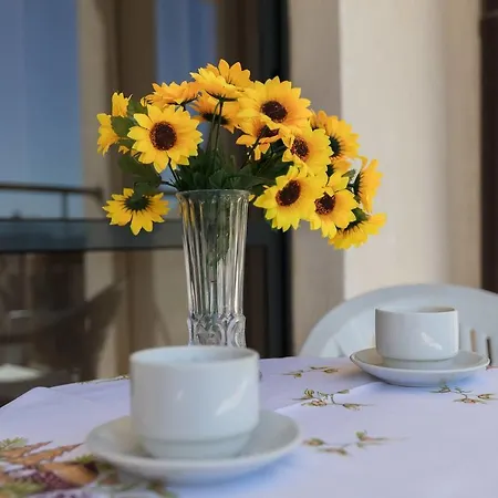 Apartment ❤1 Bedroom Ap W Kitchen +washer & Pool View ❤ys❤ Sunny Beach
